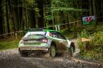 Skoda Fabia R5 evo 2019 года